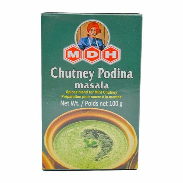 chutney podina masala mdh