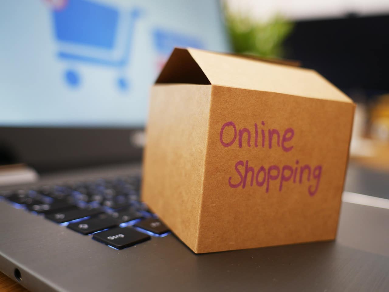 Warum sollten Sie in einem Online-Lebensmittelgeschäft in Deutschland einkaufen, anstatt in einem Geschäft in Ihrer Nähe? 55 online shopping gf4fb1644c 1280